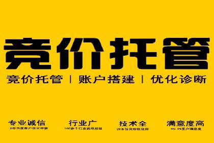 快手平台信息流广告的创意展示与效果评估